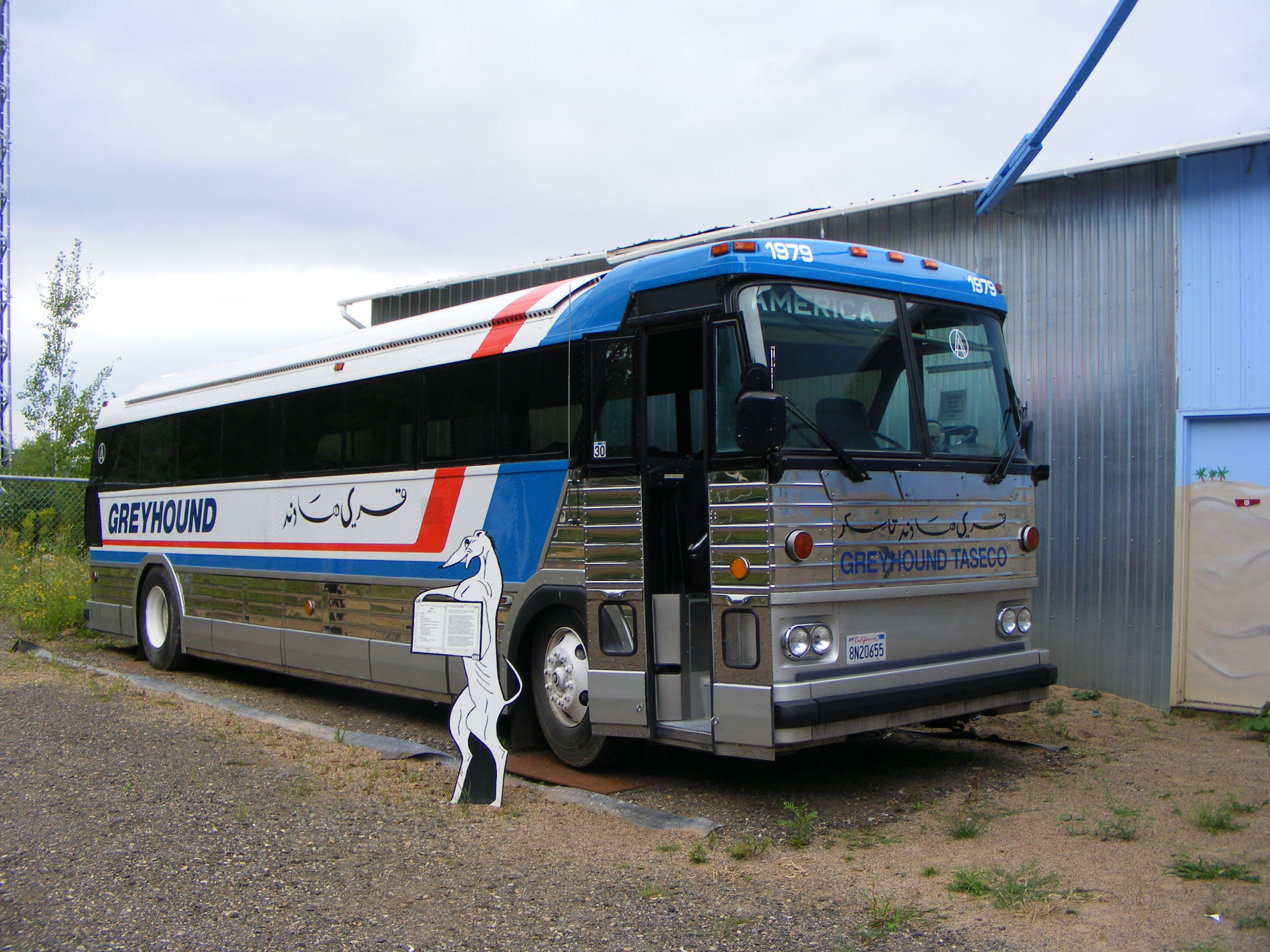 greyhound bus tours